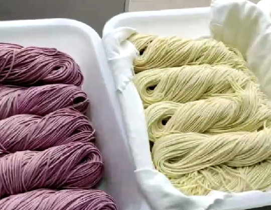 果蔬面條機(jī)