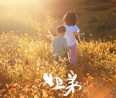 到底是一臺什么樣的餃子機可以讓老鐵下崗？